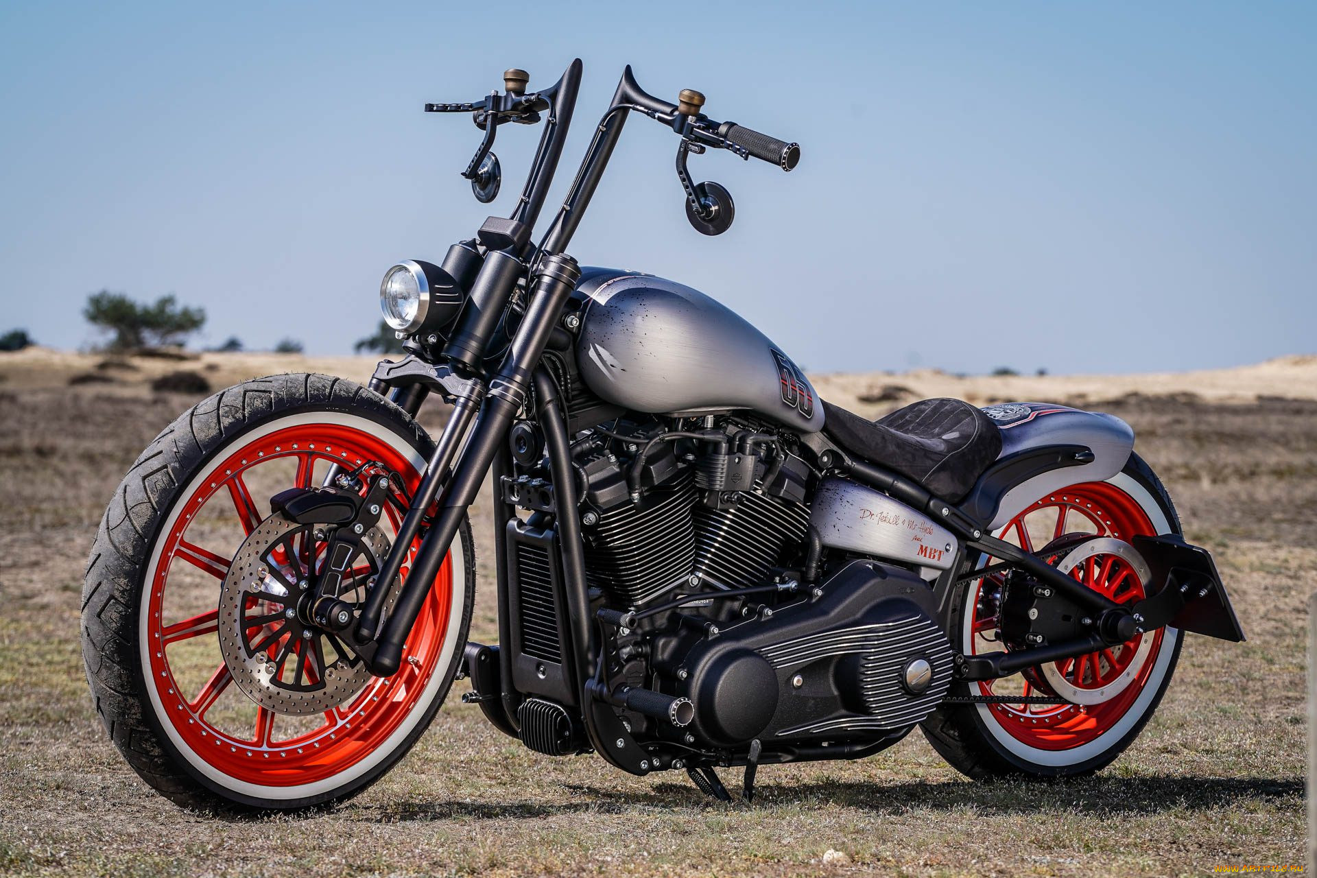 harley, , harley-davidson, thunderbike, custom, , 